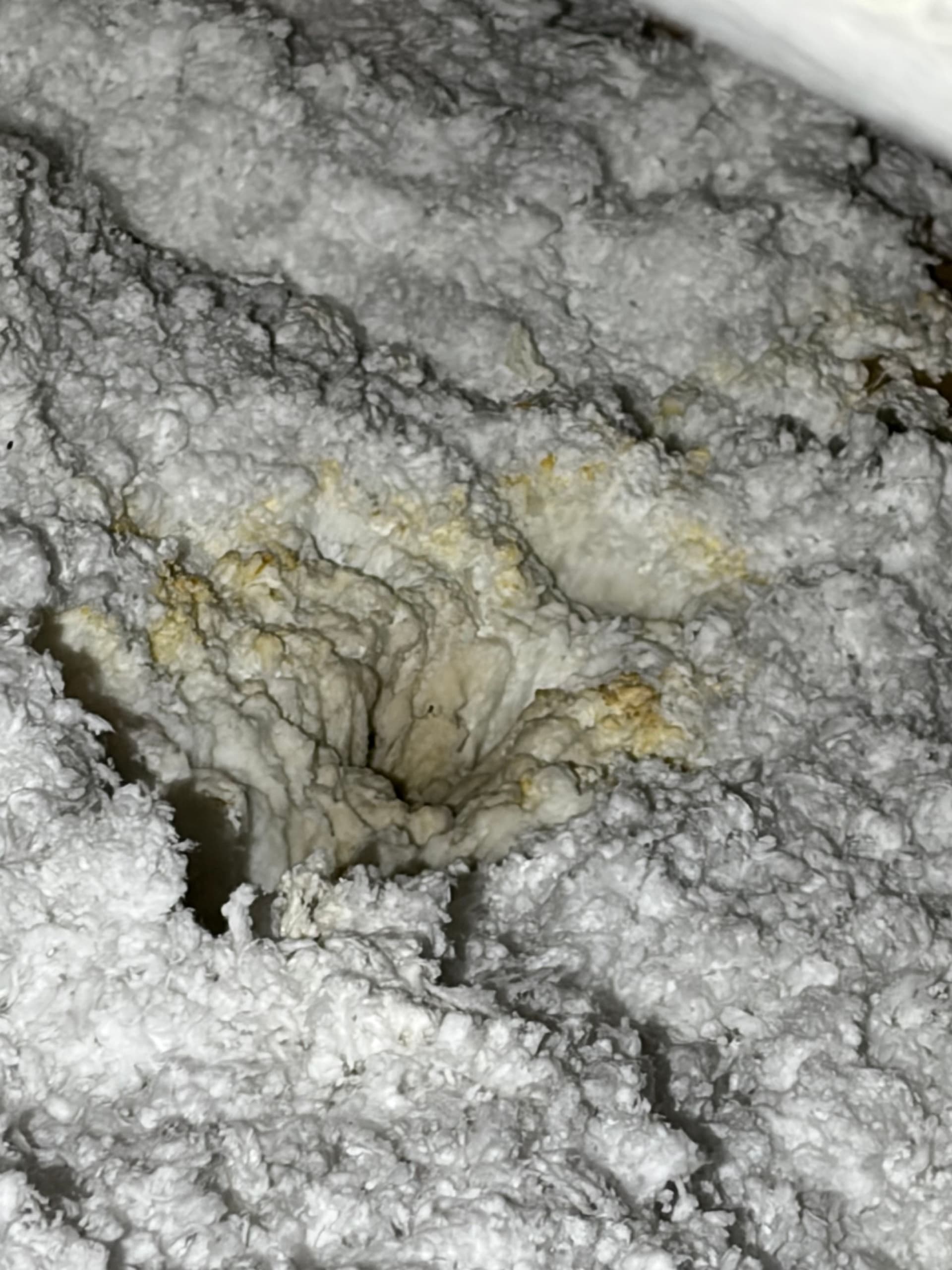 Gallery photos for Stop Hidden Water Damage with Expert Inspection and Repair: Image #2