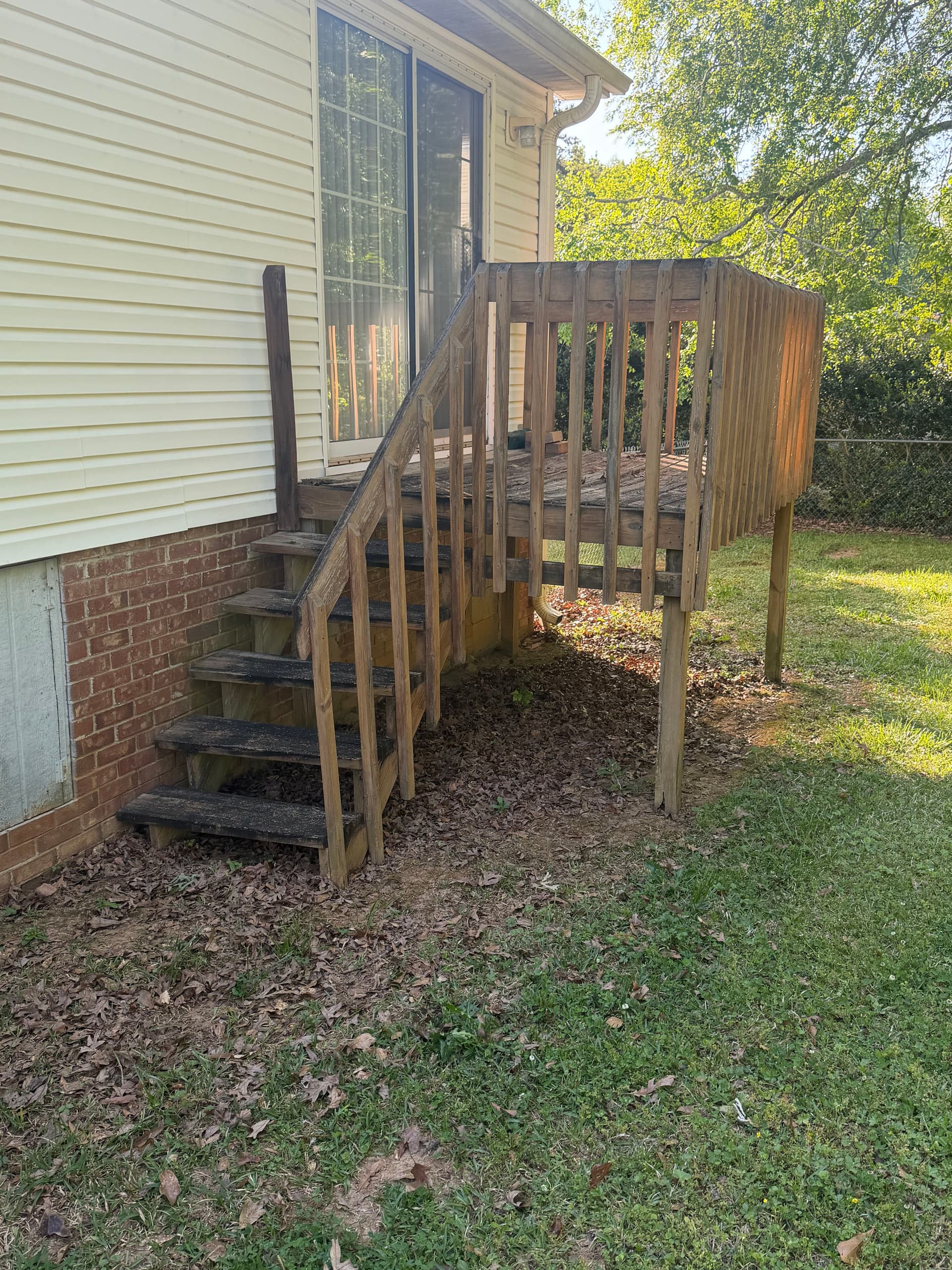 We Gave Miss Joann a Free Deck - Here's Why
