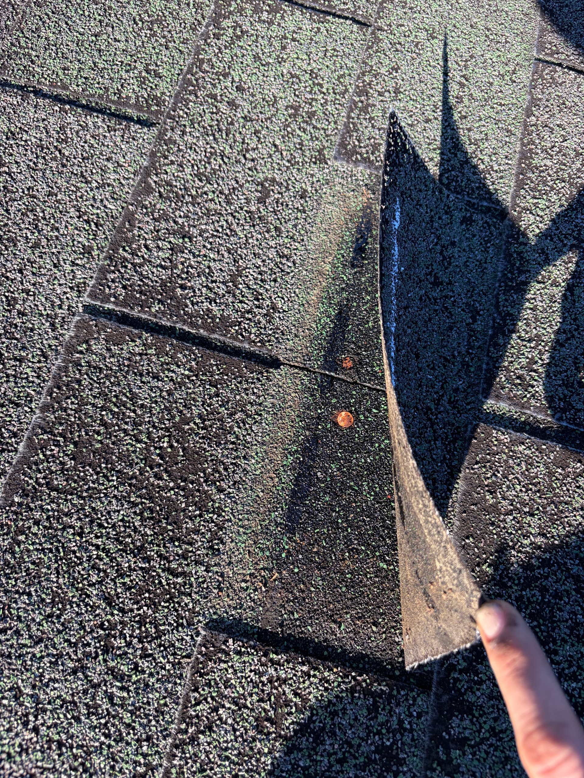 Gallery photos for Protect Your Home from Hidden Roof Damage: Image #1