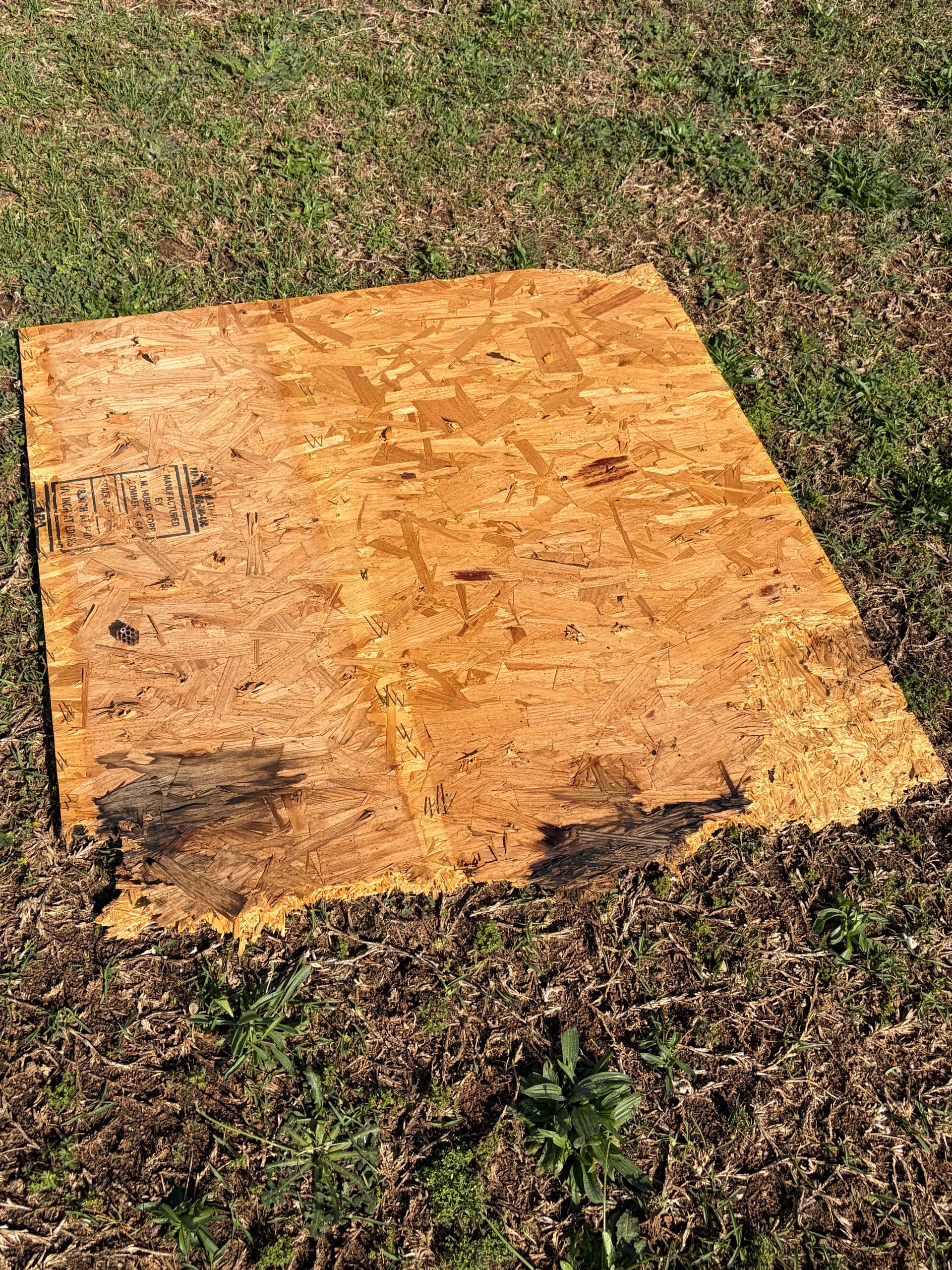 Gallery photos for Rotted Eave Decking Fixed Before a Full Roof Replacement: Image #1