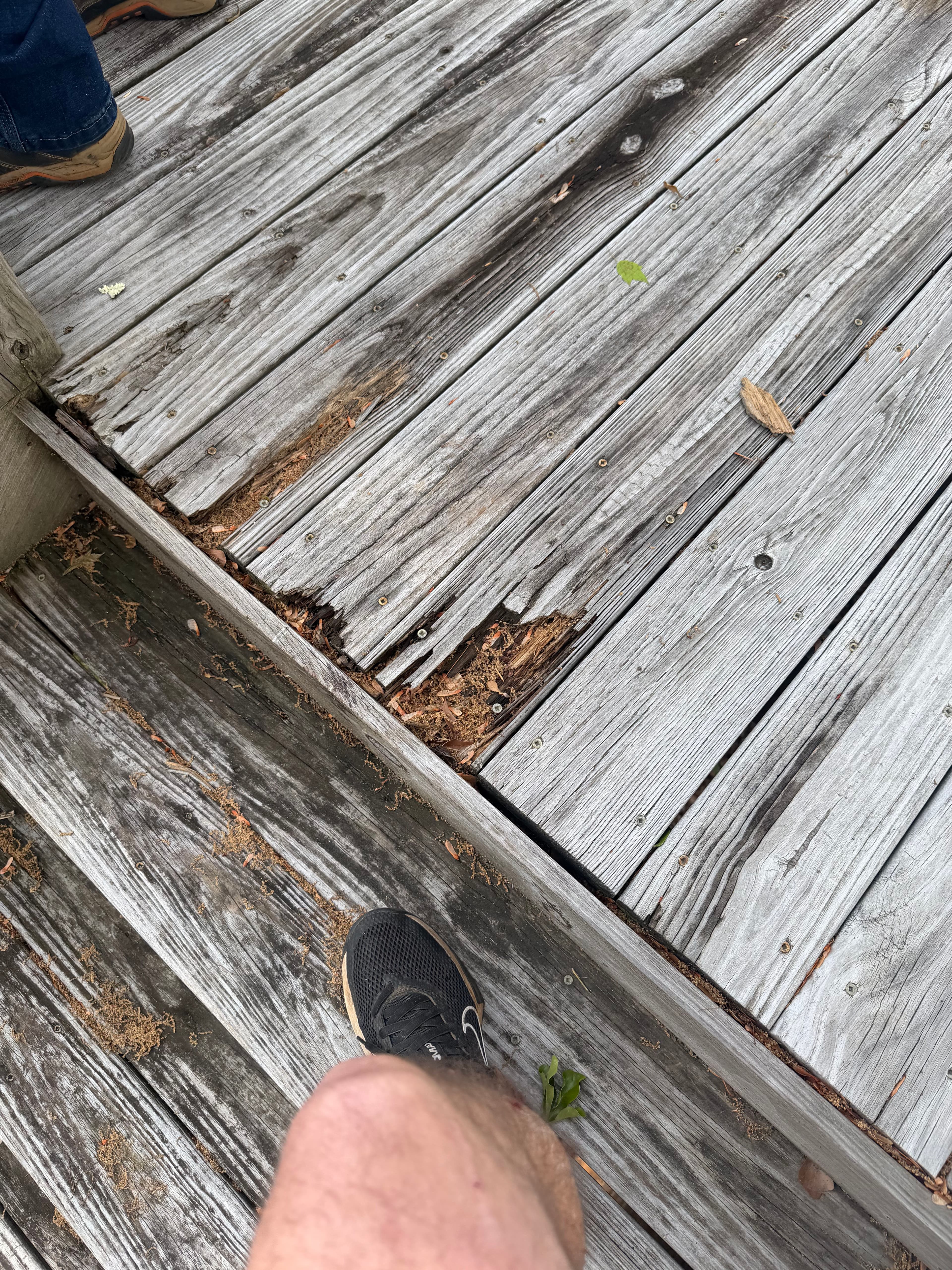 Project Rotted Deck Replaced with Custom Cedar Build in Greer SC image